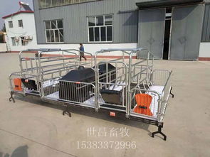 優質雙體母豬產床 世昌畜牧低價銷售助力高效養殖