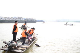 固鎮縣畜牧獸醫水產局積極實施漁業增殖放流 保障生態平衡與飼料銷售協同發展